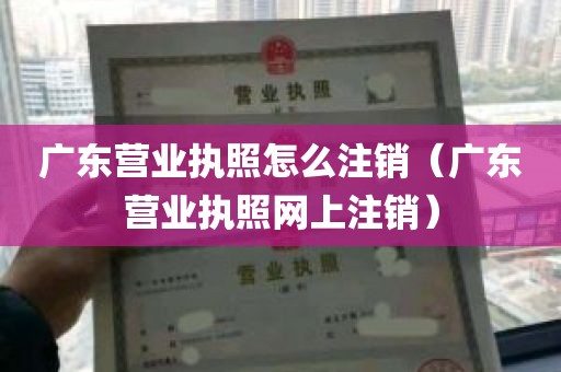 广东营业执照怎么注销（广东营业执照网上注销）