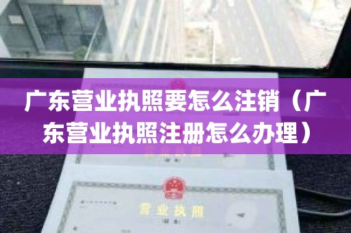 广东营业执照要怎么注销（广东营业执照注册怎么办理）